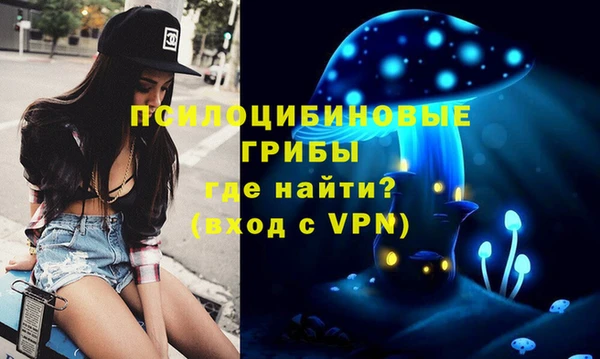 ECSTASY Алексин