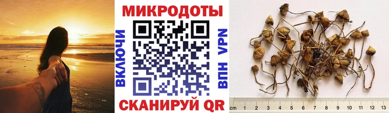 omg ССЫЛКА  даркнет формула  Октябрьск  Галлюциногенные грибы MAGIC MUSHROOMS  купить закладку 